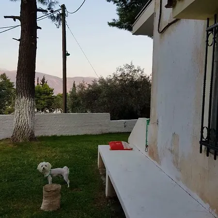 Apartman Villa Galaxidi *